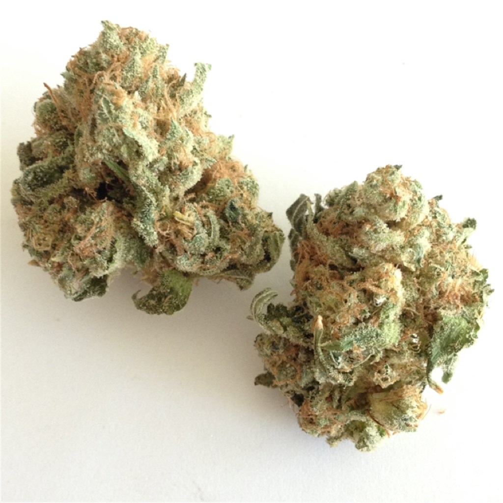 White Widow Weed