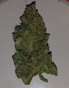 User uploaded image of White Widow