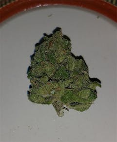 User uploaded image of White Widow