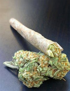 User uploaded image of White Zombie