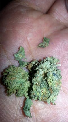 User uploaded image of White Zombie