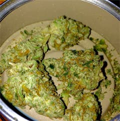 User uploaded image of White Zombie
