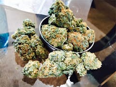 User uploaded image of White Zombie