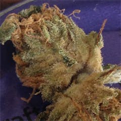 User uploaded image of Whiteout