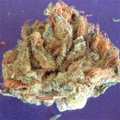 User uploaded image of Whiteout