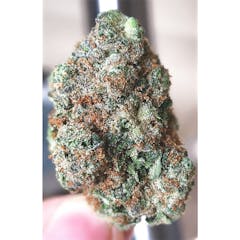User uploaded image of Whitewalker OG