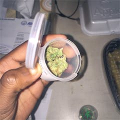 User uploaded image of Whitewalker OG