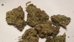 User uploaded image of Whitewalker OG