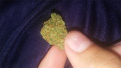 User uploaded image of Willie Nelson