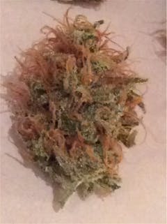 User uploaded image of Willie Nelson