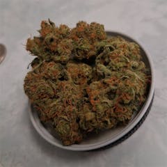 User uploaded image of Willie Nelson