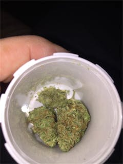 User uploaded image of Willy's Wonder