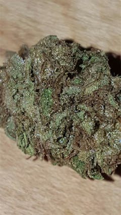 User uploaded image of Willy's Wonder