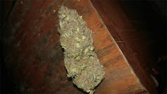 User uploaded image of Willy's Wonder