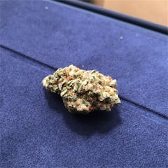 User uploaded image of Willy Wonka