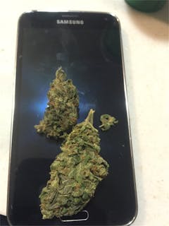 User uploaded image of Willy Wonka