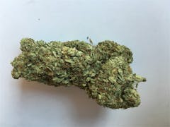 User uploaded image of Willy Wonka