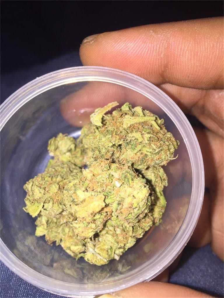 Willy Wonka Weed Strain Information Leafly