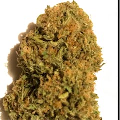 User uploaded image of WMD