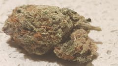 User uploaded image of WMD