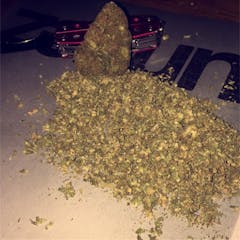 User uploaded image of Wonder Haze