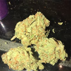 User uploaded image of Wonder Kid