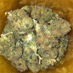 User uploaded image of Wonder Woman