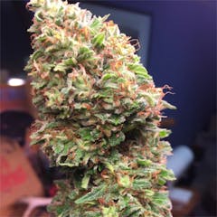 User uploaded image of Wonder Woman