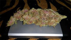 User uploaded image of Wonka's Bubbalicious