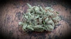 User uploaded image of Wonka's Bubbalicious