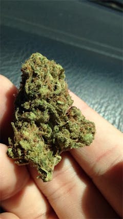 User uploaded image of Wonka's Bubbalicious