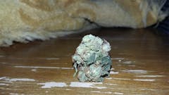 User uploaded image of Woody OG