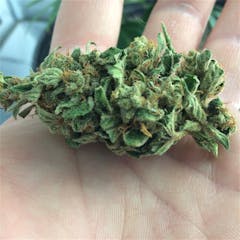 User uploaded image of X-Files