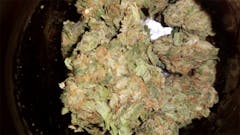 User uploaded image of X-Files