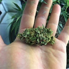 User uploaded image of X-Files