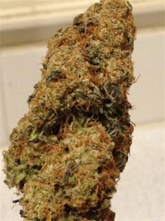 User uploaded image of X-Files