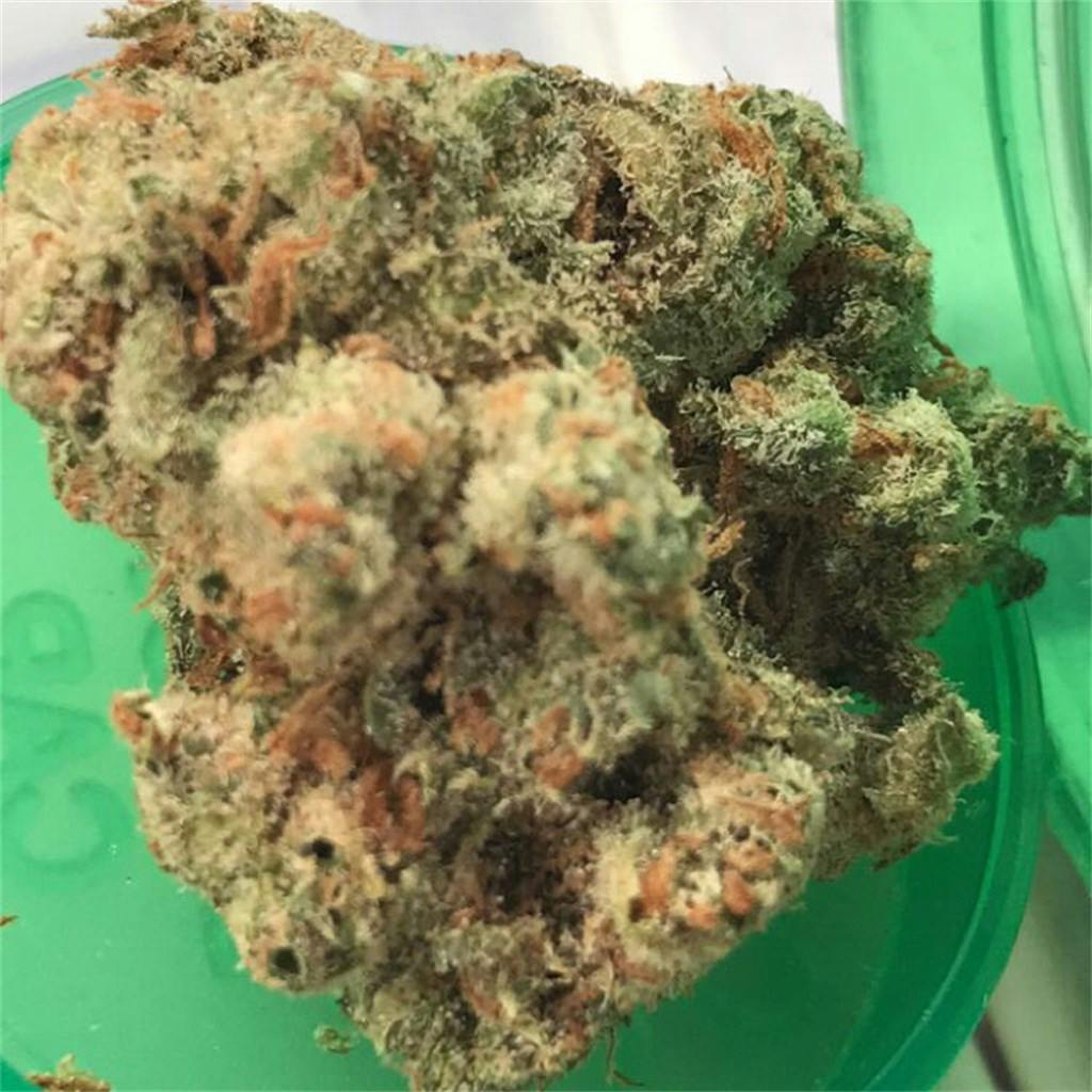 User uploaded image of XJ-13