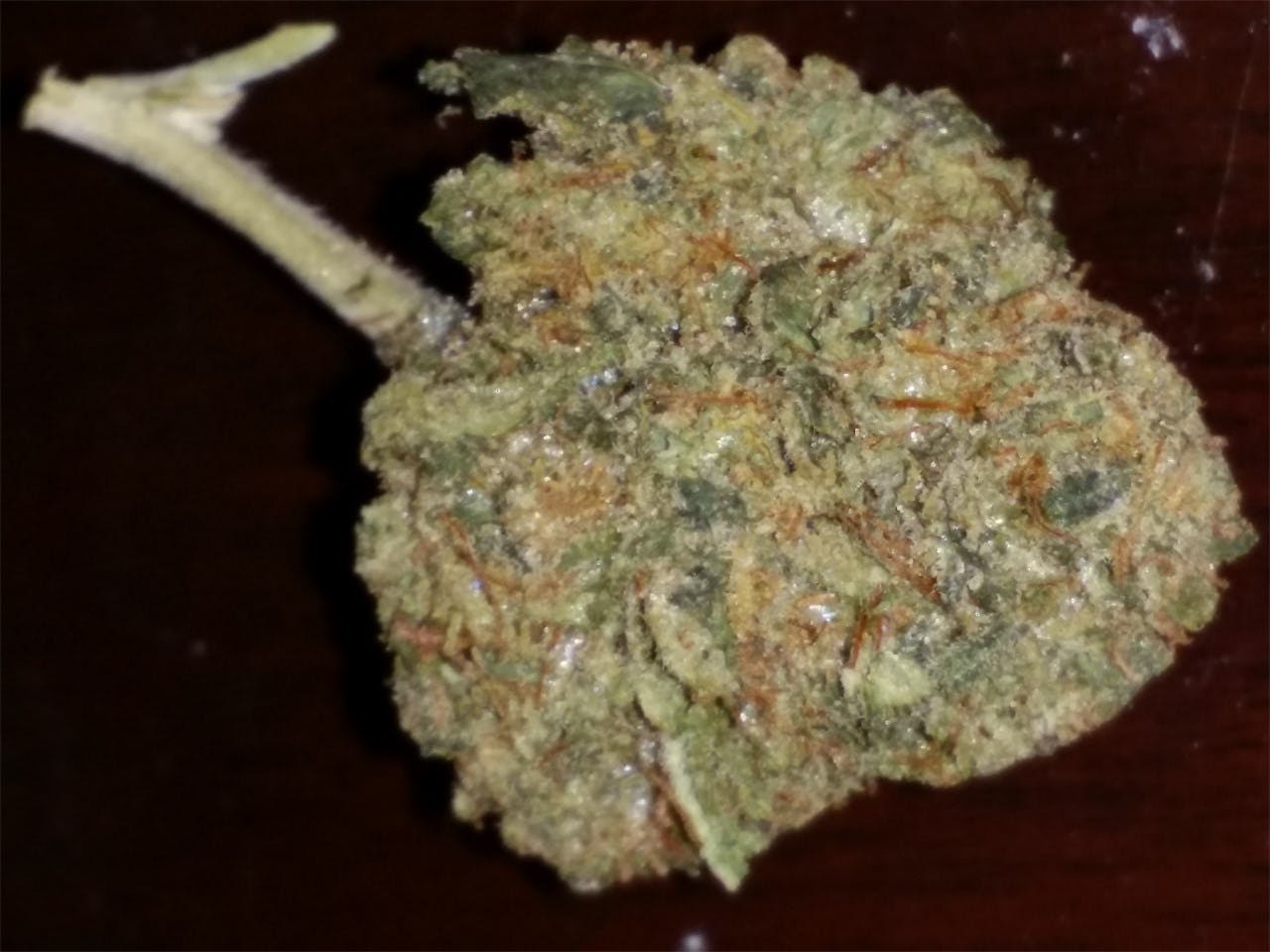 User uploaded image of XJ-13