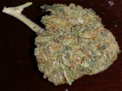 User uploaded image of XJ-13