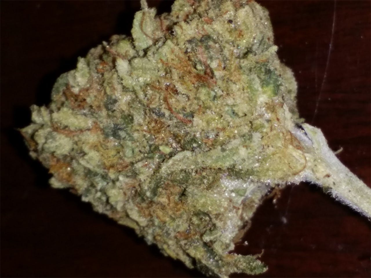 User uploaded image of XJ-13