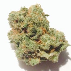 User uploaded image of XJ-13