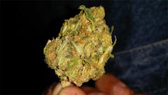 User uploaded image of XXX 420