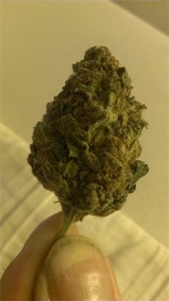 User uploaded image of XXX 420