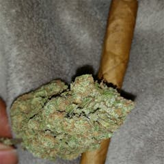 User uploaded image of XXX 420