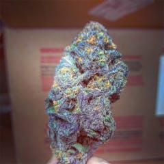 User uploaded image of XXX OG