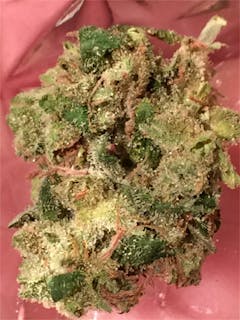 User uploaded image of Y Griega