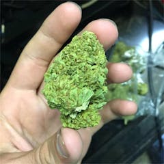 User uploaded image of Yeti OG