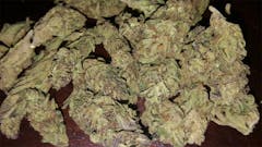 User uploaded image of Yeti OG