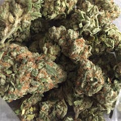 User uploaded image of Yeti OG