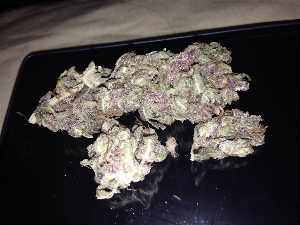 Photos of Yeti OG Weed Strain Buds Leafly